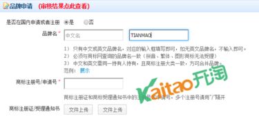 速卖通商标申请信息填写全攻略 正确标注商标状态的核心要点